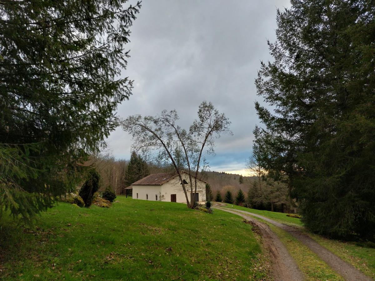 "Le Petit Bonheur" Gite Van 4 Tot 12 Personen Met Prive Vijver Van 2Ha Maisonnais-Sur-Tardoire Luaran gambar