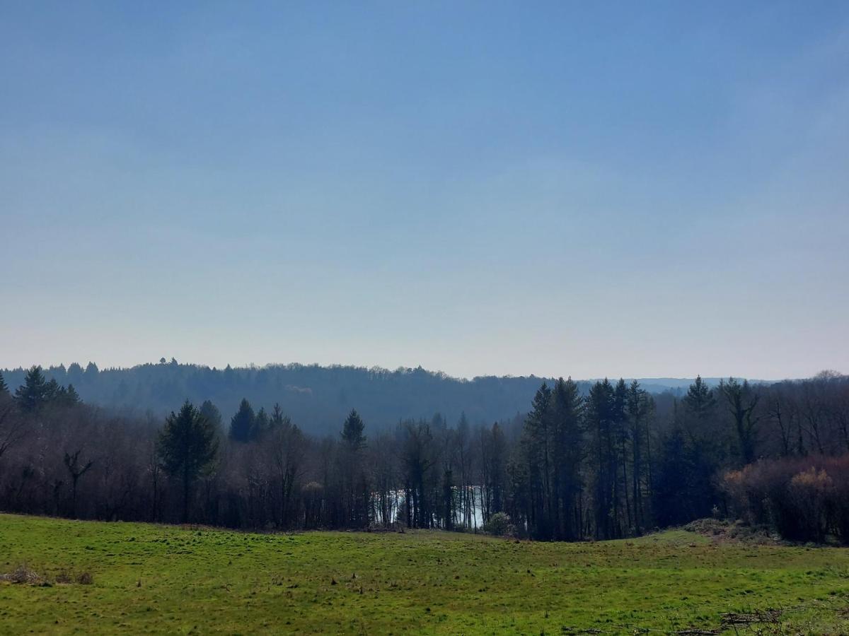 "Le Petit Bonheur" Gite Van 4 Tot 12 Personen Met Prive Vijver Van 2Ha Maisonnais-Sur-Tardoire Luaran gambar